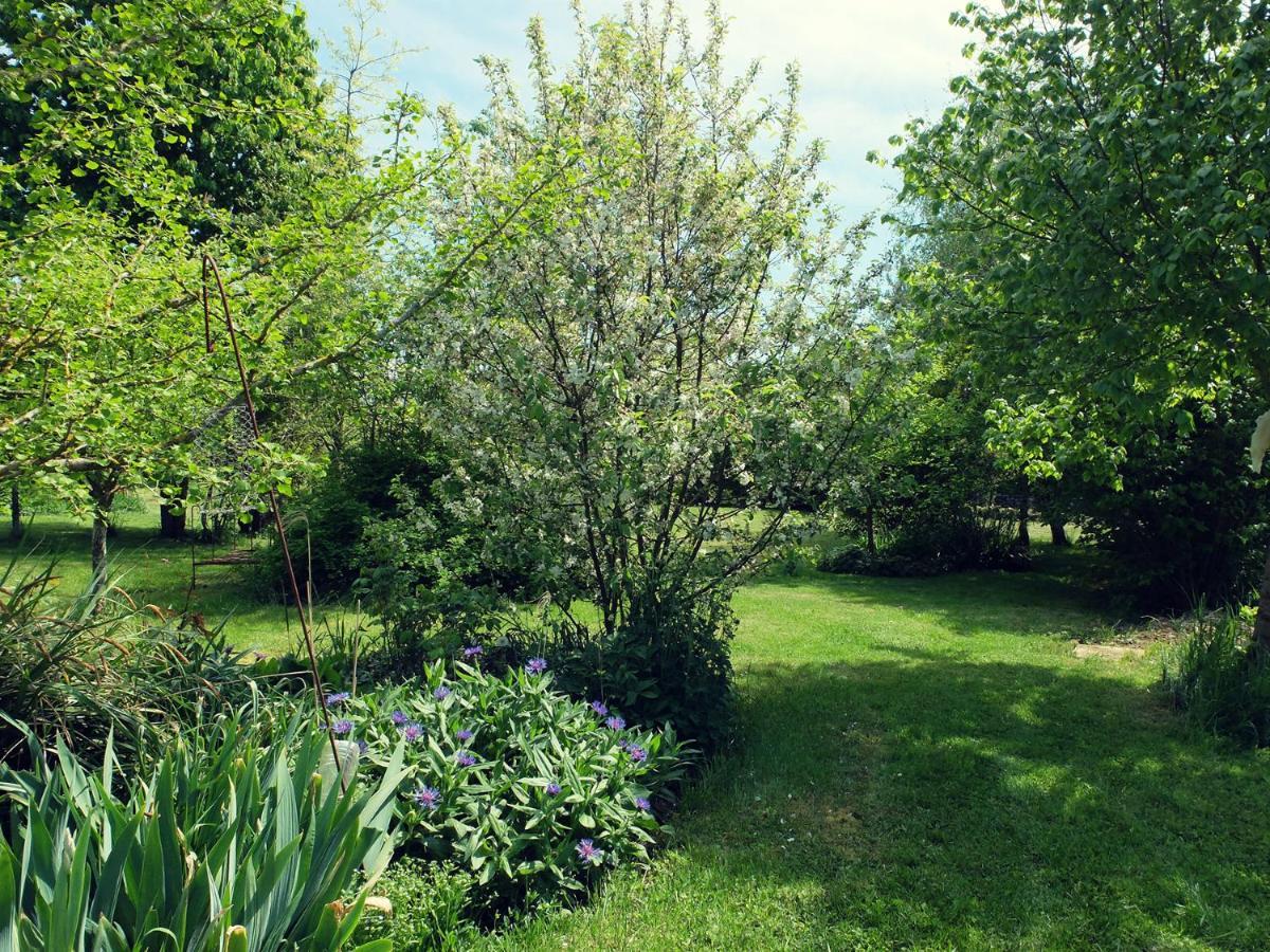 Le The Au Jardin Bed and Breakfast Saint-Julien-de-Civry Exteriör bild